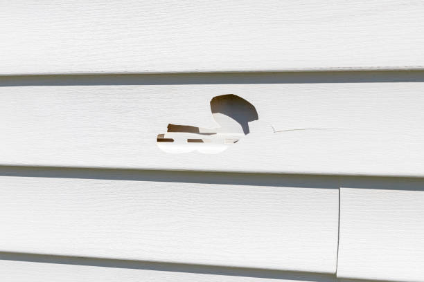 Moving and Downsizing Cleanouts in Port Orange, FL